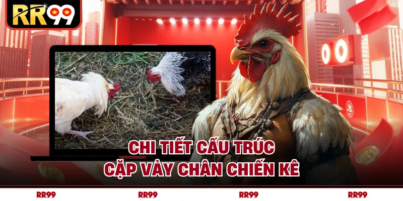 Chi tiết cấu trúc cặp vảy chân chiến kê