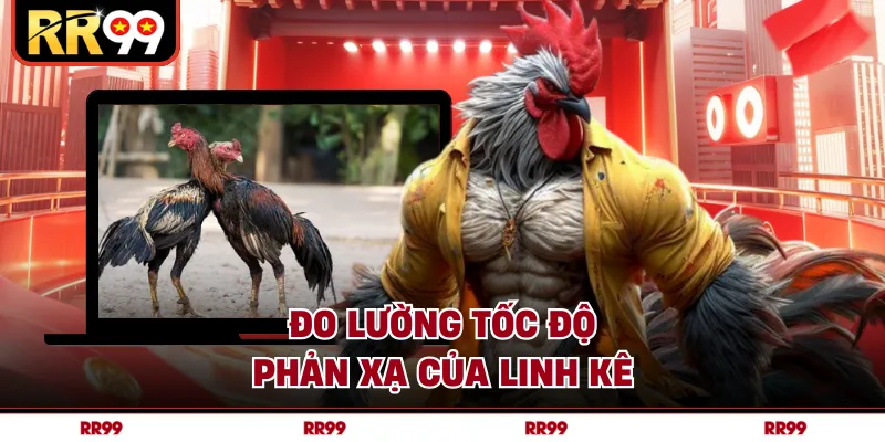 Đo lường tốc độ phản xạ của linh kê